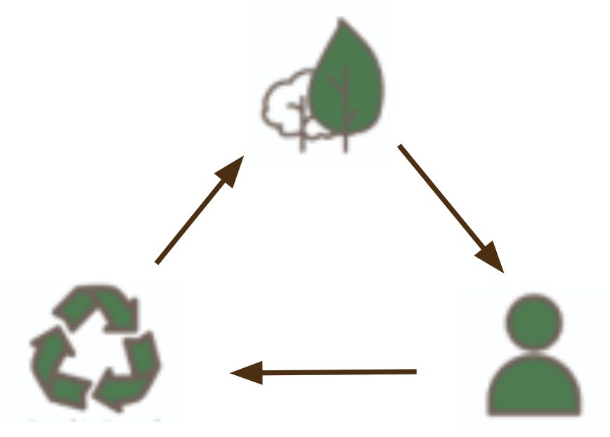 Triangle with trees in one corner, a person in another corner, and the recycling symbol in the third corner, with areas between them